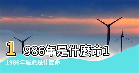 1986年屬虎|【1986年是什麼虎】1986年生肖虎運勢大揭密：今年「不一般。